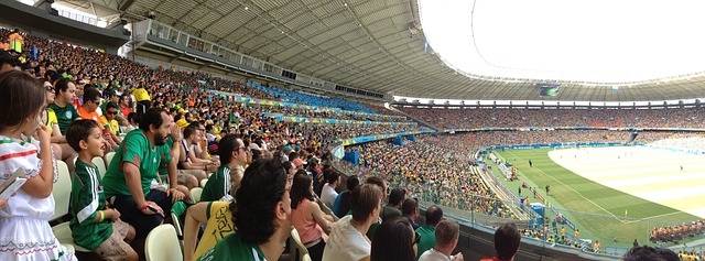 新团队的感